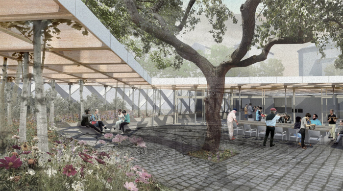 Winning An Architecture Competition - The Gateway To Commissions And Career Success. Paul and Chris' story.